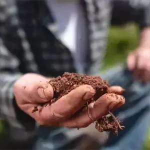 Hand håller jord