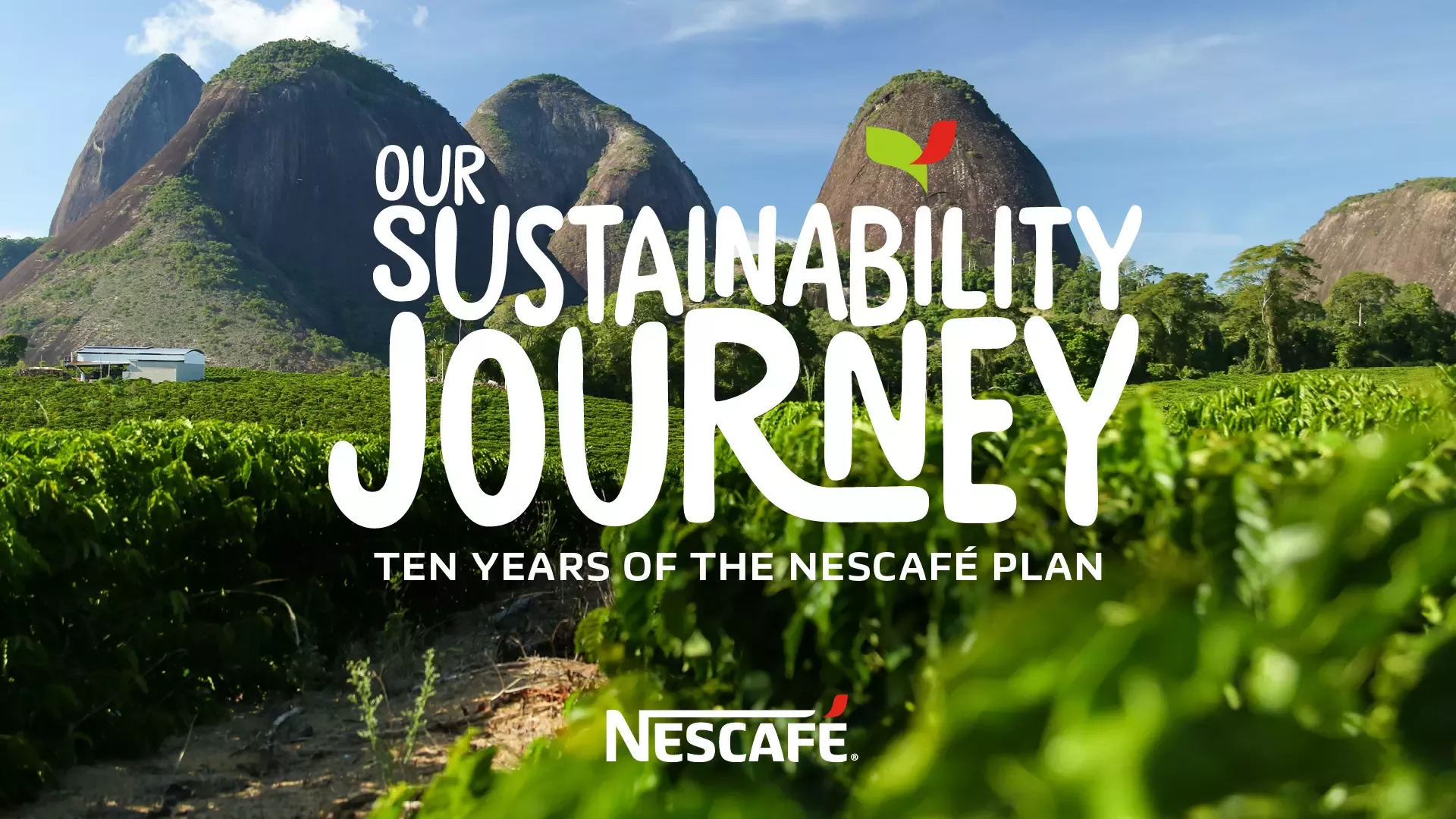 nescafe plan