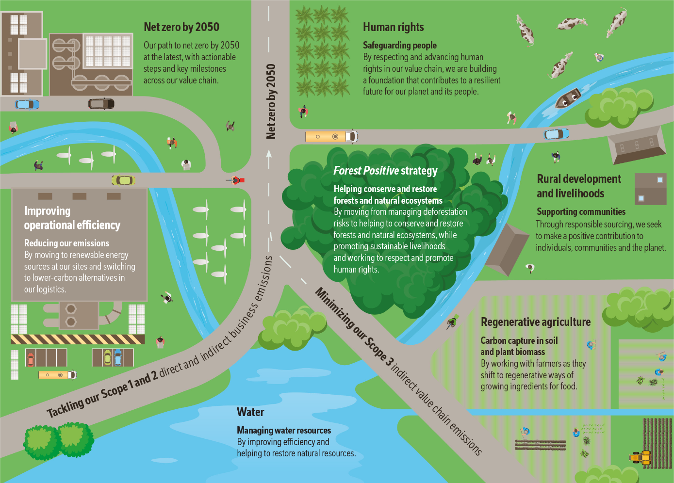 infographic